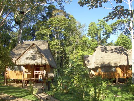 tambopata_eco_lodge_-_lodges.jpg