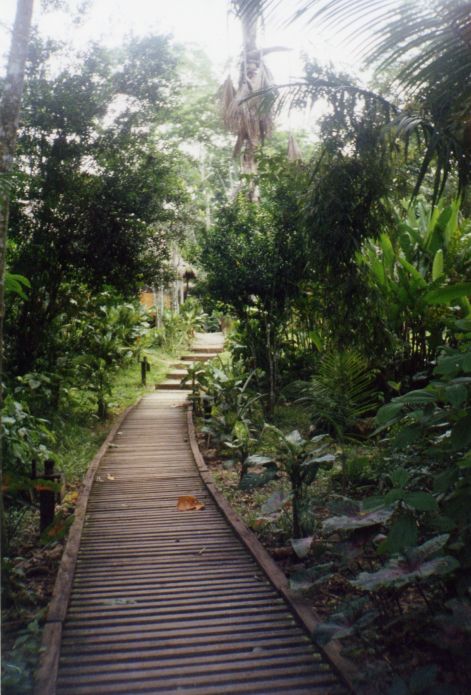 tambopataeco_lodge_1.jpg